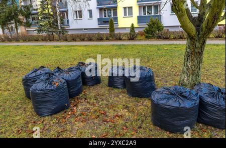 Schwarze Müllsäcke vor einem Wohnblock, Taschen mit gemähtem Gras, Verschmutzung in der Stadt Stockfoto