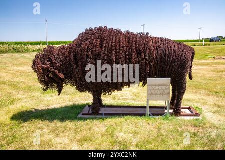 Holdrege, Nebraska - Büffelkunst vor dem Nebraska Prairie Museum. Der Büffel wurde aus zwei Meilen Stacheldraht gebaut, der auf der Farm fenc verwendet wurde Stockfoto