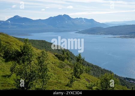 Blick vom Storsteinen über die Landschaft in Tromso, Norwegen Stockfoto