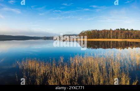 Ein ruhiger See reflektiert den Himmel und die umliegenden Bäume und zeigt hohe goldene Gräser im Vordergrund. Die Szene fängt eine friedliche morgendliche Atmosphäre ein Stockfoto