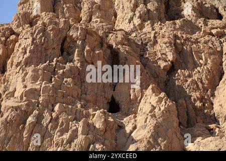 Höhle Nr. 1 in der Nähe von Qumran am Toten Meer, hier wurden 1947 die ersten Schriften vom Toten Meer von Beduins gefunden Stockfoto