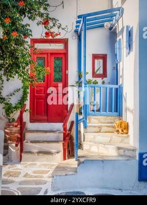 Malerischer Blick auf die farbenfrohe griechische Straße mit roter Tür und einer Katze, Mykonos Insel, Kykladen, Griechenland Stockfoto