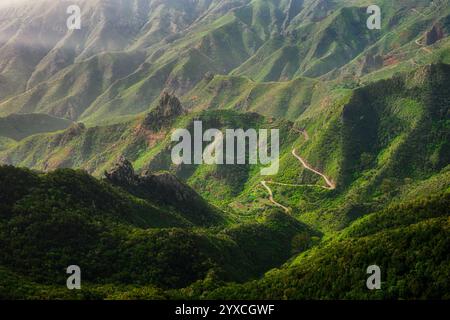 Dramatischer Blick auf zerklüftete grüne Hügel und kurvige Landstraße, Anaga, Teneriffa Stockfoto