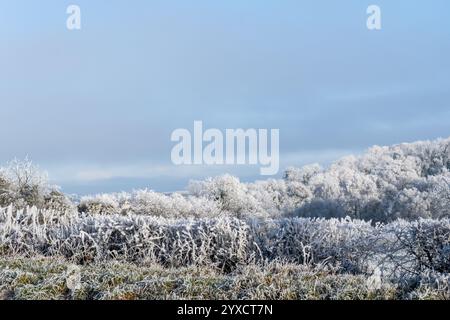 Eine schneebedeckte Landschaft mit blauem Himmel und ein paar Bäumen. Der Himmel ist bedeckt und der Schnee bedeckt den Boden Stockfoto