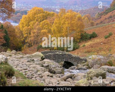 Silberne Birken bedeckt mit goldgelben Blättern hinter Ashness Bridge im Herbst im englischen Lake District, November, Cumbria, England, Großbritannien Stockfoto