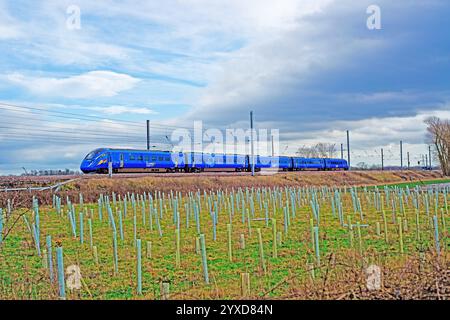 Lumo Train Richtung Süden bei Shipton bei Beningbrough, North Yorkshire, England, 20. Februar 2024 Stockfoto