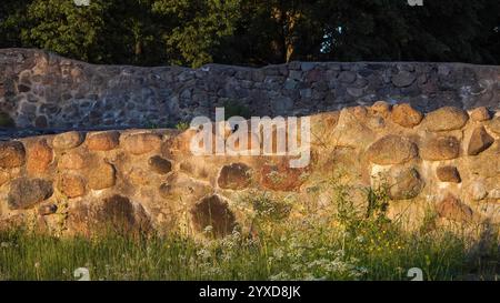 Die erhaltenen Steinmauerfragmente der Ruinen der Burg Dobele, die in warmes Abendsonnenlicht getaucht sind, umgeben von Wildblumen und Gras, umgeben von einem üppigen gre Stockfoto