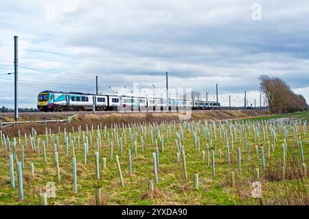 6-Car-TransPennine-Zug in Shipton bei Beningbrough, North Yorkshire, England Stockfoto