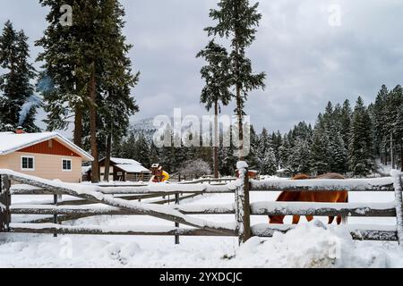 Ein kleines Ranch-Haus mit Scheune und Pferd in einem Korral an einem schneebedeckten Wintertag in Coeur d'Alene, Idaho, in der Region North Idaho Panhandle. Stockfoto