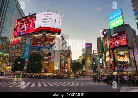 Gebäude rund um die Shibuya Scramble Crossing bei Sonnenuntergang in Shibuya, Tokio, Japan Stockfoto