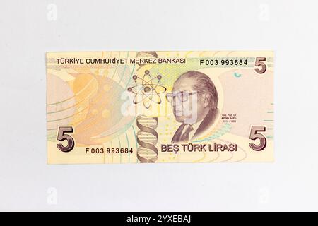 Türkei 5-Lira-Banknote mit Dr. Aydin Sayili, einem Historiker des Wissenschaftsportraits, des Sonnensystems, des Atoms, der linkshändigen Z-DNA-Helix. Stockfoto