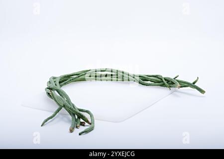Frische lange Bohnen, fotografiert auf weißem Hintergrund Stockfoto