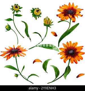 Gelbe Blüten mit grünen Blättern. Rudbeckia. Sonnenblumen-Clipart. Herbstschulblume auf weißem Hintergrund. Aquarellabbildung. Hellgelb Stockfoto