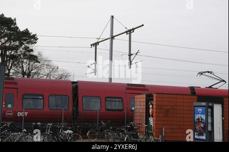 Kopenhagen/Dänemark/15. DEZEMBER 2024/dänischer lokaler dsb-öffentlicher Zug Kopenhagen. (Foto. Francis Joseph Dean/Dean Pictures) (nicht für kommerzielle Zwecke) Stockfoto