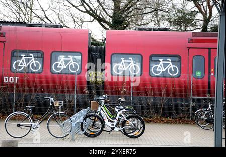 Kopenhagen/Dänemark/15. DEZEMBER 2024/dänischer lokaler dsb-öffentlicher Zug Kopenhagen. (Foto. Francis Joseph Dean/Dean Pictures) (nicht für kommerzielle Zwecke) Stockfoto