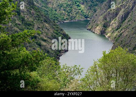 Luftaufnahme der Schluchten des Sil-Flusses in der Ribeira Sacra-Zone Galiciens im Frühling seit Aussichtspunkten. Ourense, Spanien. Stockfoto