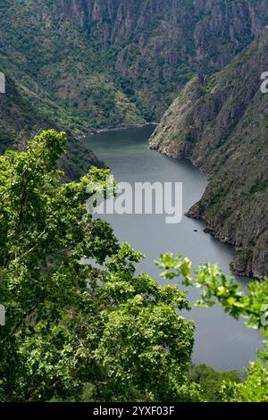 Luftaufnahme der Schluchten des Sil-Flusses in der Ribeira Sacra-Zone Galiciens im Frühling seit Aussichtspunkten. Ourense, Spanien. Stockfoto