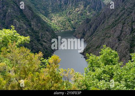 Luftaufnahme der Schluchten des Sil-Flusses in der Ribeira Sacra-Zone Galiciens im Frühling seit Aussichtspunkten. Ourense, Spanien. Stockfoto