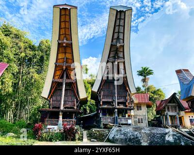 Traditionelles Haus Toraja Tongkonan, Tana Toraja, Indonesien. Wundervolle Indonesien Reise 2025 Stockfoto