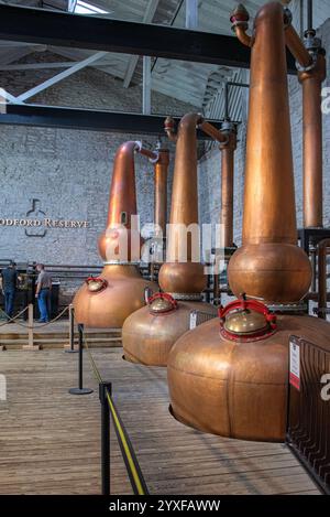 Das Bild zeigt das Innere der Bourbonkeller des Woodford Reserve mit Reihen von gereiften Fässern. Die satten, warmen Töne des Holzes schaffen einen Stockfoto