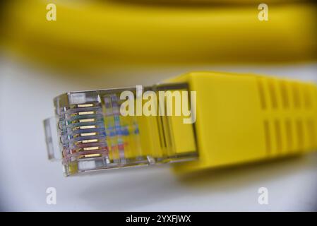 Den Helder, Niederlande. dezember 2024. Nahaufnahme eines gelben ethernet-Kabels auf weißem Hintergrund. Hochwertige Fotos Stockfoto