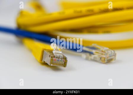 Den Helder, Niederlande. dezember 2024. Nahaufnahme eines gelben ethernet-Kabels auf weißem Hintergrund. Hochwertige Fotos Stockfoto
