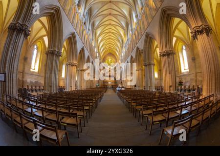 Wells Cathedral befindet sich im mittelalterlichen Herzen von Englands kleinster Stadt und ist die älteste englische Kathedrale, die zwischen 1175 und 1490 erbaut wurde Stockfoto