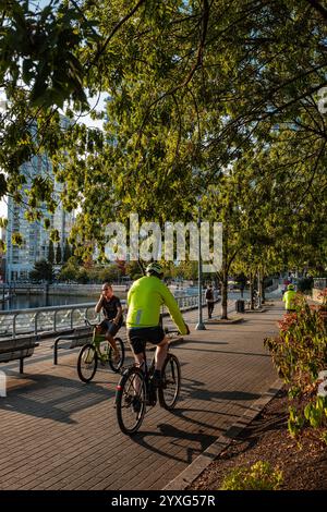 Die Leute genießen die wunderschöne Hafenpromenade von Vancouver. Am sonnigen Herbsttag spazieren und radeln Sie auf dem Creekside Park Seawall Trail. BC Kanada. S Stockfoto