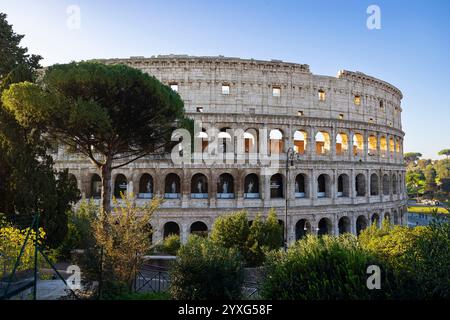 Kolosseum, Rom, Italien Stockfoto