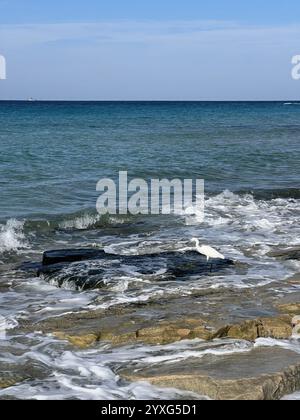 Ein atemberaubender und ruhiger Blick auf die Küste mit sanften Wellen, die gegen felsige Küsten krachen Stockfoto