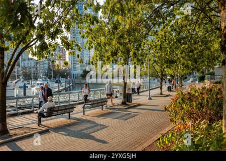 Die Leute genießen die wunderschöne Hafenpromenade von Vancouver. Am sonnigen Herbsttag spazieren und radeln Sie auf dem Creekside Park Seawall Trail. BC Kanada. S Stockfoto