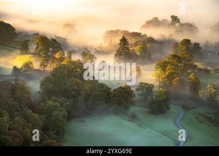 Wunderschöner Herbstmorgen mit Nebel und goldenem Sonnenlicht am Loughrigg Tarn im Lake District, Großbritannien. Stockfoto