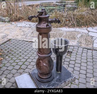 Eine Vintage-Wasserpumpe aus Metall mit kunstvollen Details, die auf einem gepflasterten Bereich in der Nähe eines Teichs steht Stockfoto