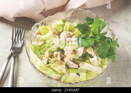 Waldorfsalat, Selleriesalat mit Apfel, in einer Salatschale aus Glas, natürliches Licht, hausgemacht, keine Leute Stockfoto