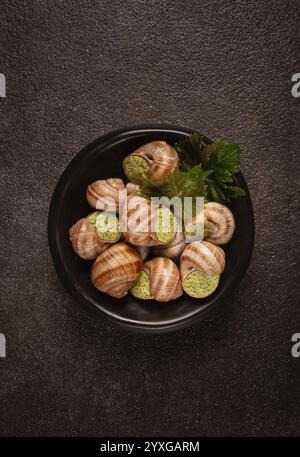 Schnecken, gefüllt in Burgund, auf einem schwarzen Teller, mit Traubenblättern, französische Küche, keine Leute Stockfoto