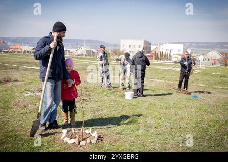 Krimtataren Pflanzen Bäume in einer Siedlung, Krim, Ukraine, Europa Stockfoto