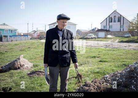 Ein Mann pflanzt einen Baum in einer krimtatarischen Siedlung, Bezirk 5, Bakhchisaray, Krim, Ukraine. Europa Stockfoto