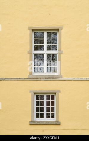 Architektonische Details mit zwei weißen Fenstern, die Bäume auf einer gelben Wand reflektieren Stockfoto