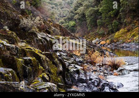 Schlucht mit felsigem Flussufer, bedeckt mit Moos, North Fork American River, Kalifornien Stockfoto