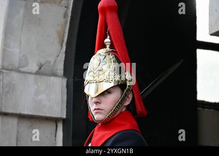 Soldat, Rettungsschwimmer des Königs, Household Cavalry, Whitehall, London, UK Stockfoto