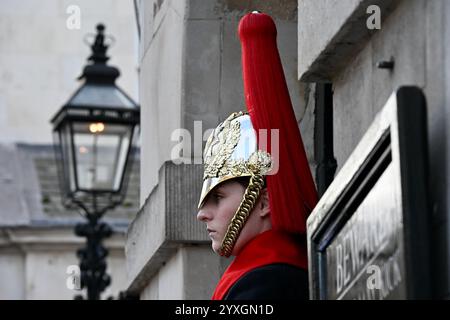 Soldat, Rettungsschwimmer des Königs, Household Cavalry, Whitehall, London, UK Stockfoto