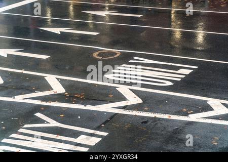 Thermoplastische Fahrspuren und Straßenmarkierungen auf dem Bürgersteig im New Yorker Stadtteil Chelsea am Mittwoch, den 11. Dezember 2024. (© Richard B. Levine) Stockfoto