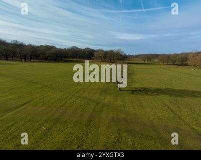 Drohnenfotografie – Bäume und Schatten im Richmond Park, London, England Stockfoto