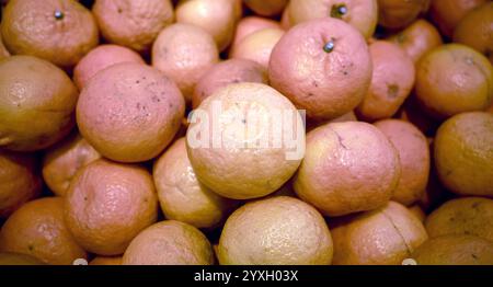 Ein Haufen reifer Orangen (Citrus reticulata) im Supermarkt, flacher Fokus. Hintergrund zu Lebensmitteln. Stockfoto