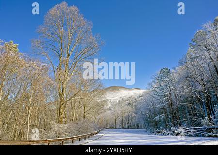 Das Licht am frühen Morgen beleuchtet die Baumkronen und den schneebedeckten Berg auf dem Cherohala Skyway in den Unicoi Mountains in Tennessee. Stockfoto