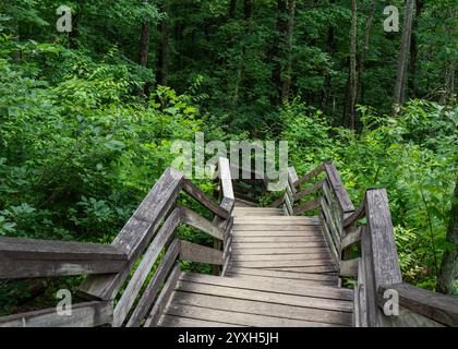 Über 300 Holzstufen schlängeln sich durch den Wald, der zum Fuß des Wasserfalls im Stone Mountain State Park in North Carolina führt. Stockfoto