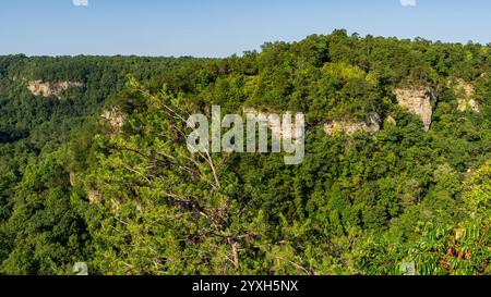 Der Crow Point Overlook entlang des Little River Canyon Rim Parkway im National Preserve in Alabama bietet einen Blick auf die stark bewaldeten Felsklippen. Stockfoto