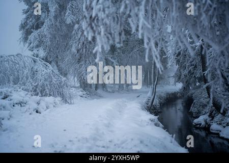 Verschneite Wanderwege im Harzer Berggebiet Deutschland Stockfoto