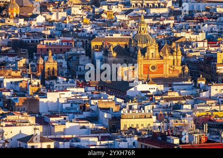 Erkunden Sie die atemberaubende Aussicht auf Iglesia del Salvador, umgeben von Stadtgebäuden in Sevilla, und fangen Sie den Charme Spaniens ein. Stockfoto