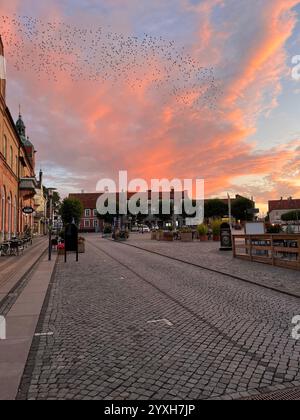 Platz mit Kopfsteinpflastersteinen in Simrishamn, Skåne, Schweden mit wunderschönem rosa und blauem Himmel und Hunderten von Vögeln. Foto im Sommer 2023. Stockfoto